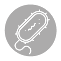 Antiparasitários